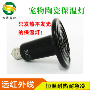 探寻宠物蜂产业 从价格、采购到供应商的全面解析